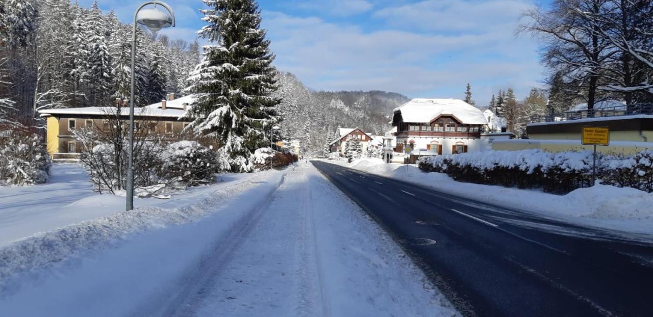 Altenberg Haus Stefanie Elvire 아파트 외부 사진