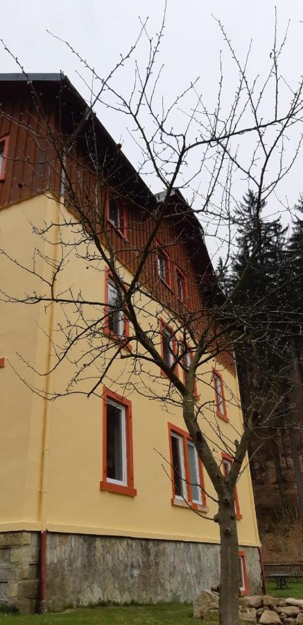 Altenberg Haus Stefanie Elvire 아파트 외부 사진