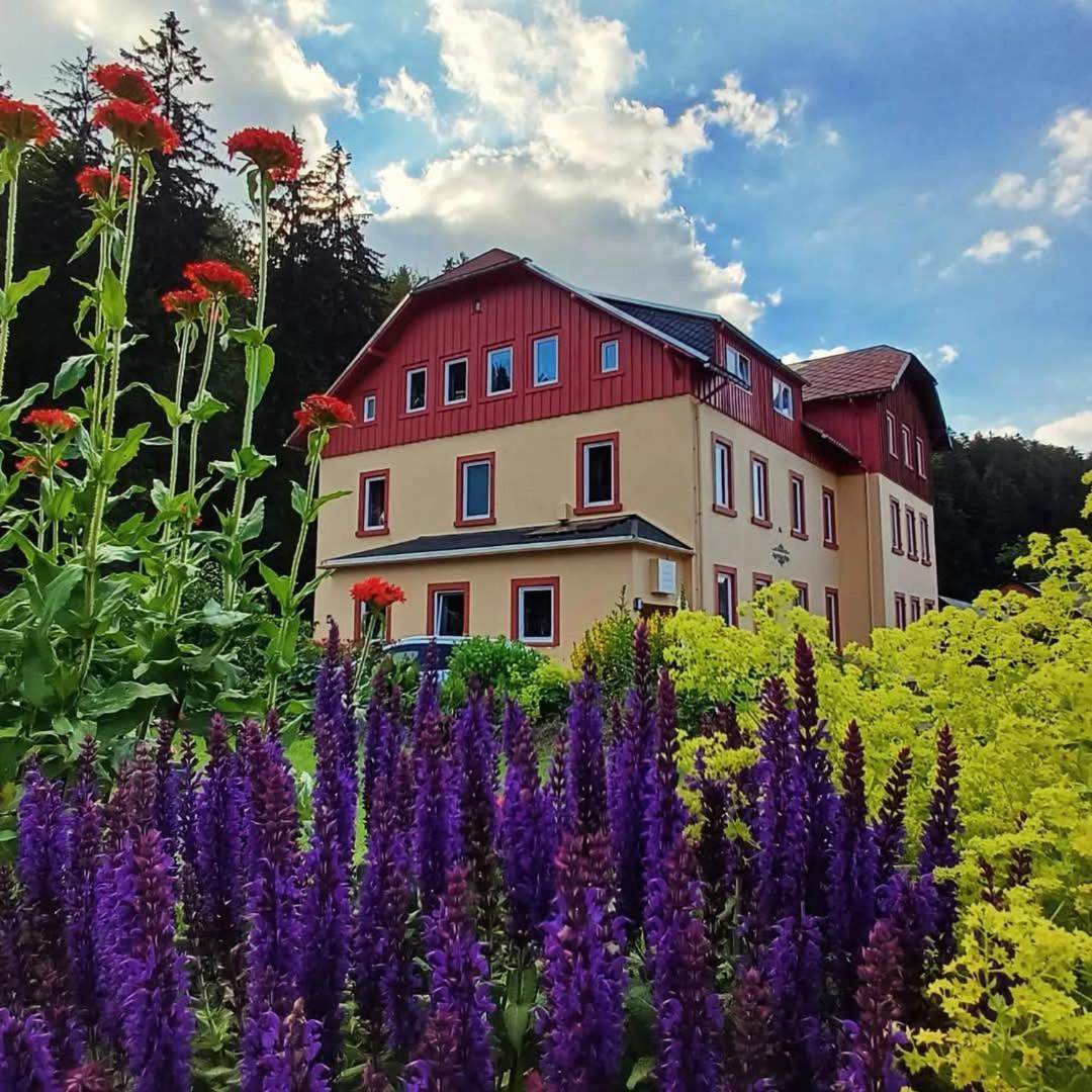 Altenberg Haus Stefanie Elvire 아파트 외부 사진